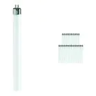 Voordeelpak 25x Philips TL Mini 8W 840 Super 80 (MASTER) | 29cm - Koel Wit